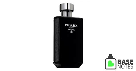 basenotes prada l& 39